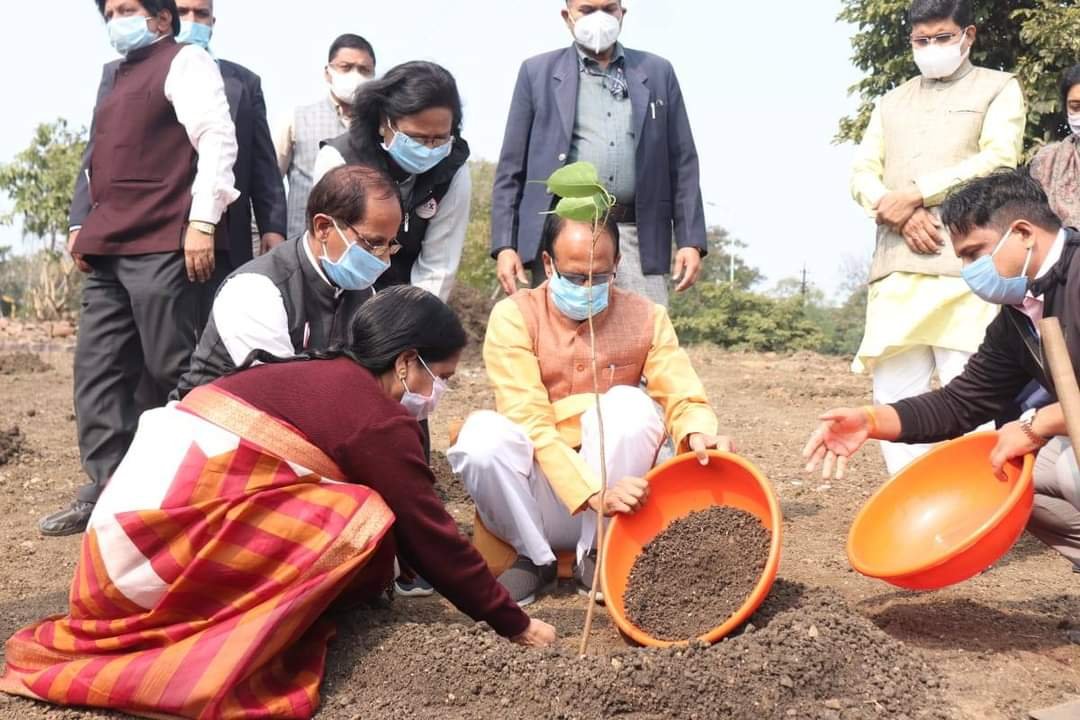 ex cm planting trees