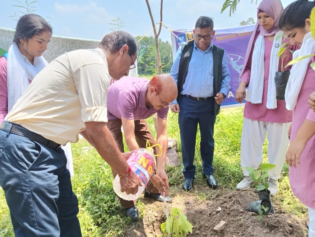 watering in small plant